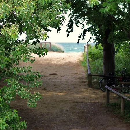 Strandnahe Mit Terrasse Und Parkplatz Apartmán Zingst